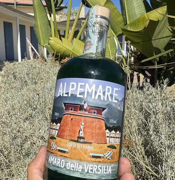 Alpemare versilia vela