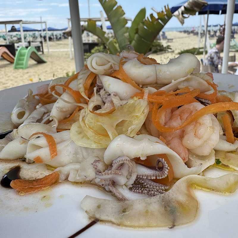 patto primavera vela 2025