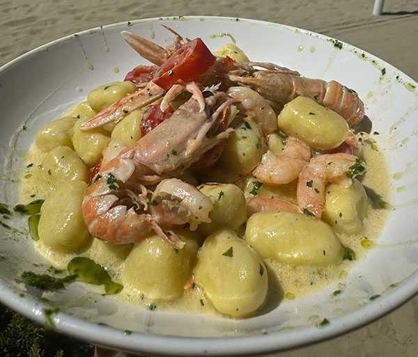 scampi vela